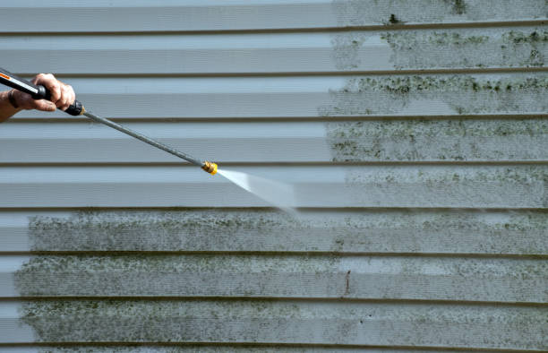 Certified Mold Removal in Port Byron, IL