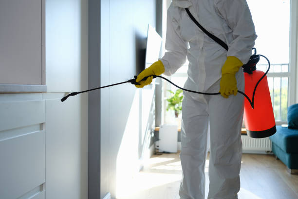 Trusted Port Byron, IL Mold Removal Experts