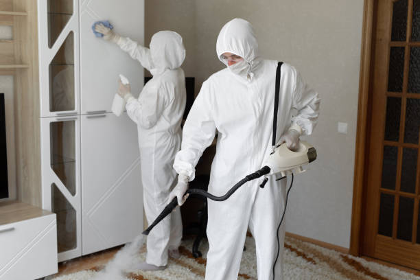 Best Mold Testing  in Port Byron, IL